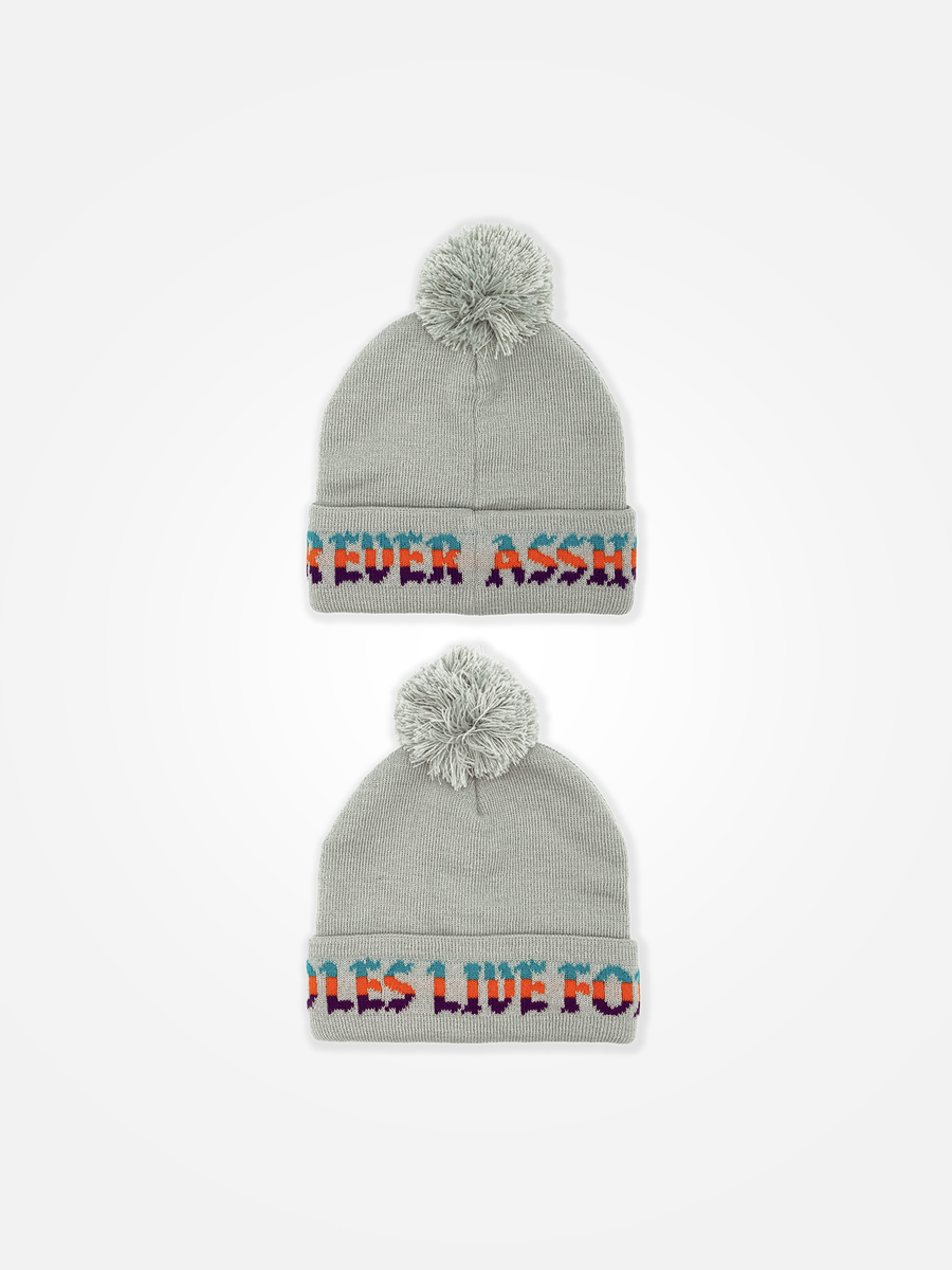 ASSHOLES LIVE FOREVER Pom Beanie Grey